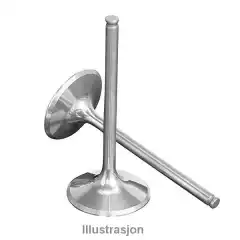 Titan Ventil Eksos WR426F 2001-02