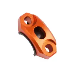 Roterbart hendelfeste