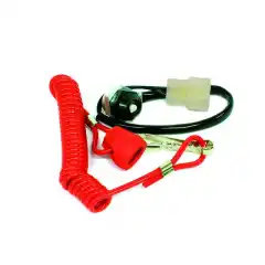 OEM: 2870668, 230080, 5320004