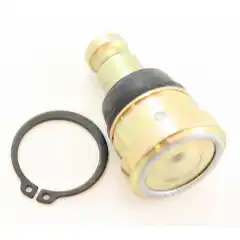 OEM: 7081505, 7081666